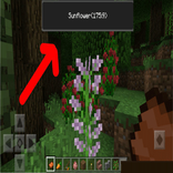 Block ID's List Mod