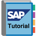 SAP Tutorial