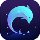 ECCO: The Dolphin