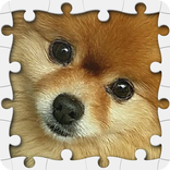 ”Dogs Jigsaw Puzzles