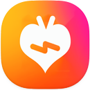 Fan IGTV Tips APK