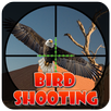 Pigeon - Birds Shooting 3D APK
