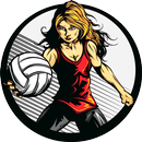 APK Super Volleyball World Cup 2018
