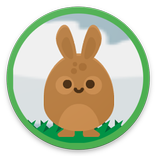 Bunny Hop