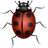 APK Bug Game
