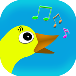 Bird Sounds