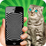 Real Hypnotizer For Cats