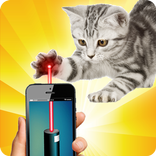 Laser Pointer: Cat Edition
