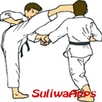 Best Karate Technique APK