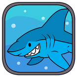 Shark Attack