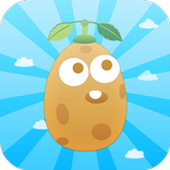 Fly Potato