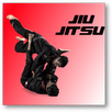 Jiu Jitsu APK