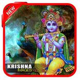 Krishna Image