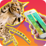 Laser Cat Simulator 3D