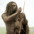 Evolution APK