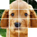 permainan puzzle anjing APK