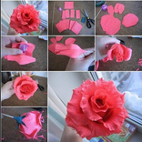 Paper Flower Craft