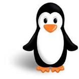 Penguin Memory Game