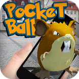 Pocket Ball GO