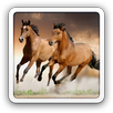 Mustangs Runnin live wallpaper APK