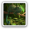 Cool Chameleon LWP APK