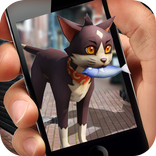 Pocket Cats GO 3D