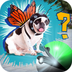 Pocket DOG GO-APK