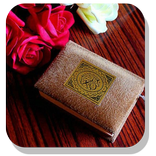 Daily Quran Citaten