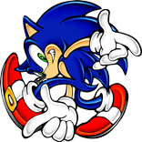 Sonic Survivor