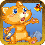 Cat Fly
