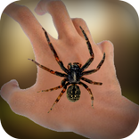 Real Spider On Hand FREE