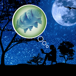 Tales of the Tardigrade