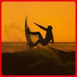 Surf Board Design Ideas