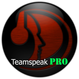 TS3 TeamSpeak PRO