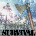 Cold Winter Suvival
