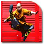 Shaolin Kung Fu