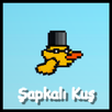 Hat Birds APK