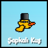 Hat Birds