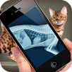 Simulation XRay Cat APK