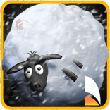 Snow Mountain - Crazy Sheep