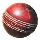 Blind Cricket APK