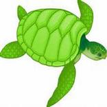 Turtle Memory Game