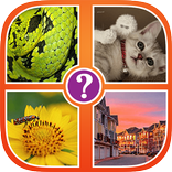 4 Pics 1 Word