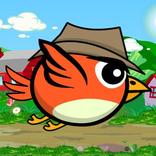 Country Birds