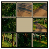 Shift Puzzle
