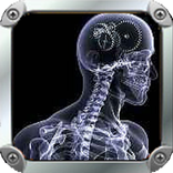 Anatomize