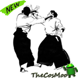 The Best Aikido Techniques