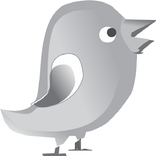 BirdX2