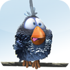 Piepshow APK
