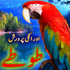 Parrot Care in Urdu APK